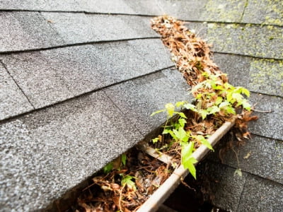 What Happens If You Don't Clean Your Gutters?